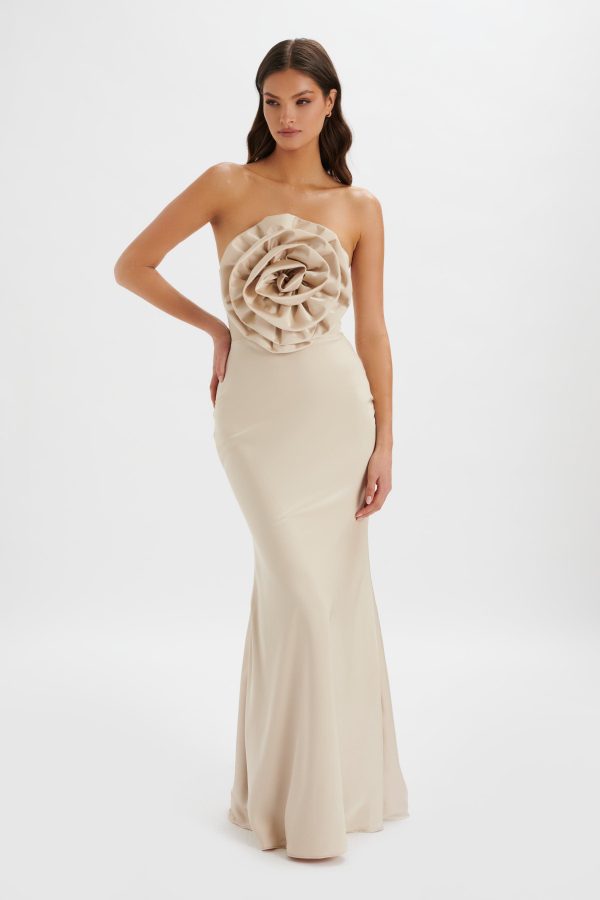 DALIA 3D Flower Bandeau Maxi Dress in Champagne - Image 3
