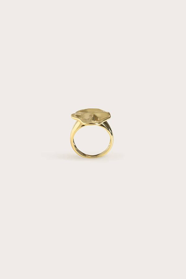 LEORA Hammered Effect Oval Gold Ring - Image 3