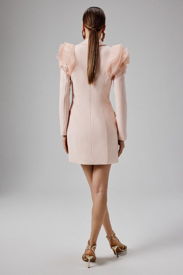 RIA Organza Rose Sleeve Blazer Dress in Light Pink - Image 5